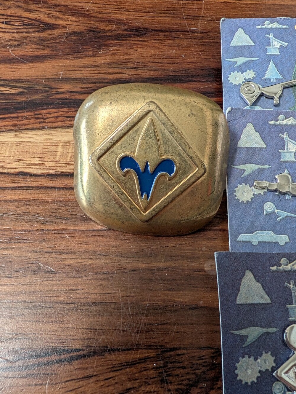 Vintage 1980s Boy Scouts Cub Scouts Webelos Metal Activity Badge Pins & More Lot - Picture 6 of 6